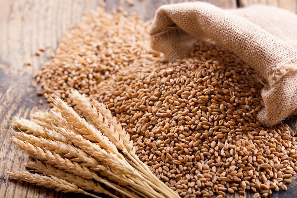 Could Giving Up Wheat for a Month Transform Your Health? The Surprising Effects on the Body!
