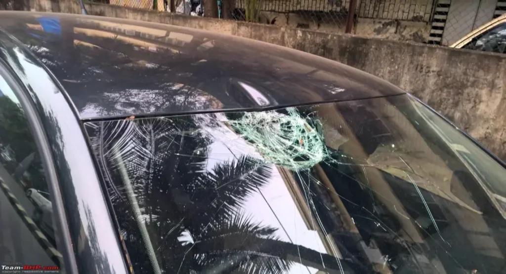The Coconut Catastrophe: How to Safeguard Your Vehicle and Stay Trendy!